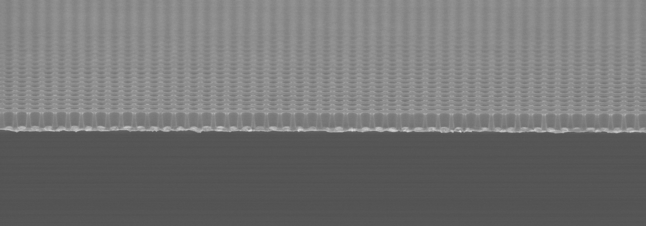 Cross-sectional scanning electron microscopic image of the nanofabricated wells